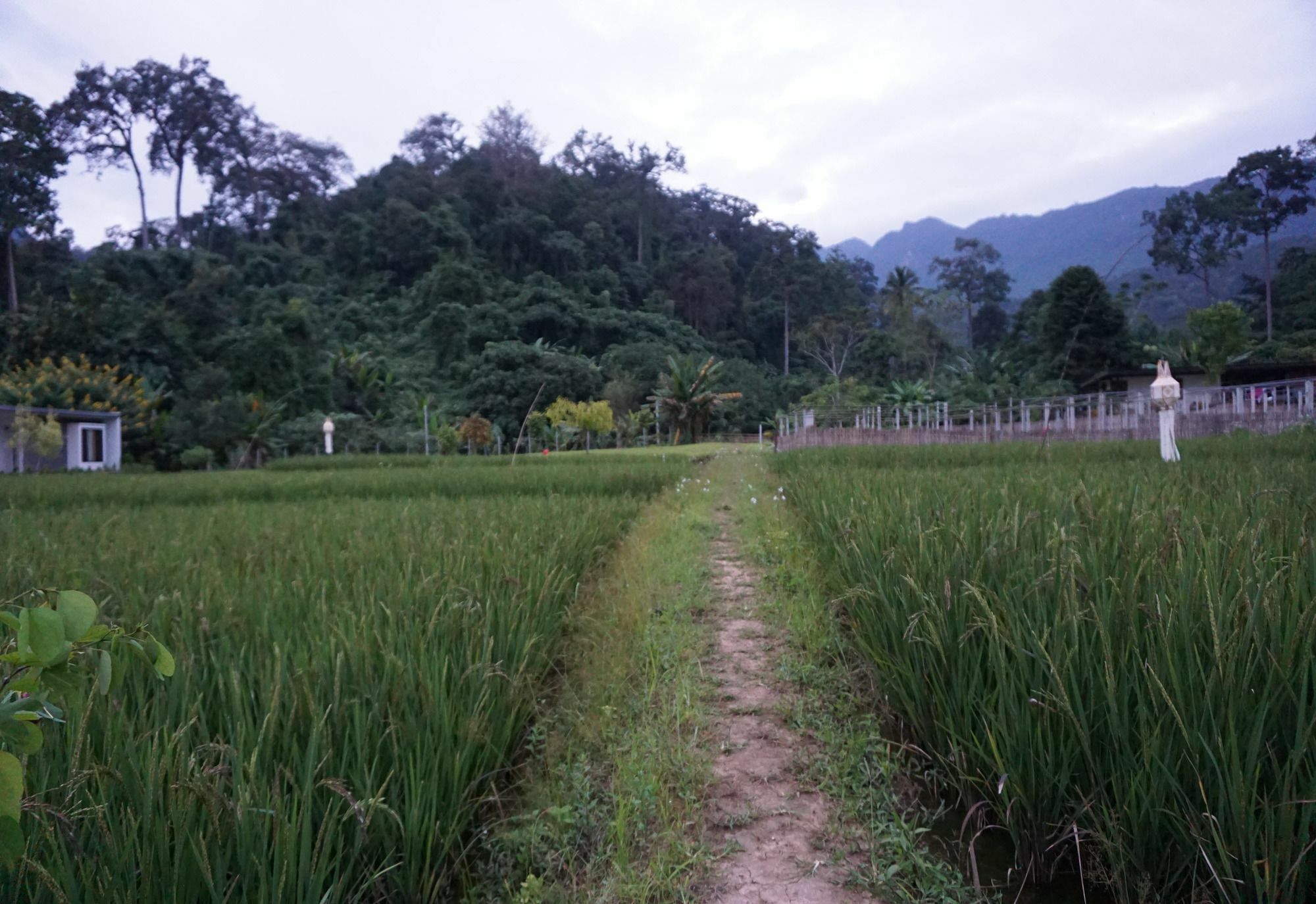 Villa De View Chiang Dao Εξωτερικό φωτογραφία